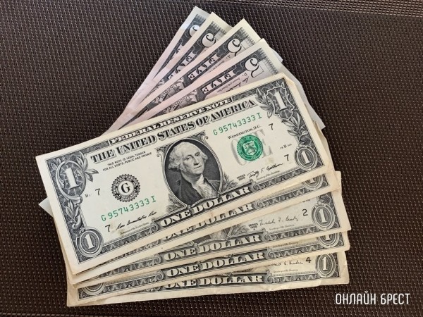 Гражданка Украины везла $78 тысяч через границу из Польши в Брест Гражданка Украины везла $78 тысяч через границу из Польши в Брест