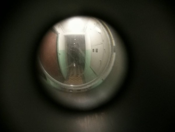 «Вписка» в Могилеве закончилась уголовным делом благодаря бдительным соседям