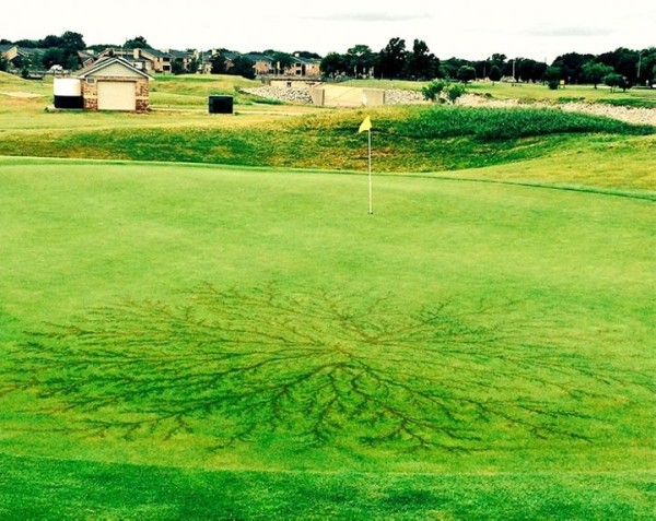 После разряда — что происходит с человеком, в которого ударила молния После разряда — что происходит с человеком, в которого ударила молния