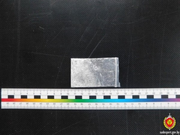 «Вписка» в Могилеве закончилась уголовным делом благодаря бдительным соседям