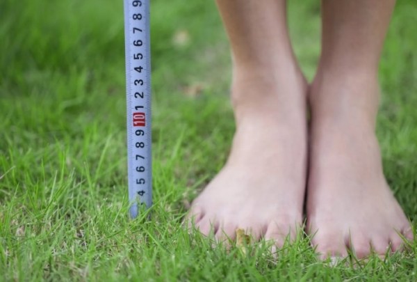 Почему утром человек на сантиметр выше, чем вечером