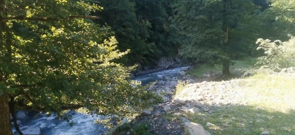 &laquo;Вдоль дороги &mdash; венки и памятники&raquo;. Белорус в одиночку отправился в горы Грузии, где даже страховка не действует