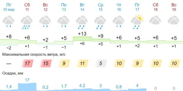 В Бресте и области на 11 марта объявлен оранжевый уровень: гололедица и сильный ветер