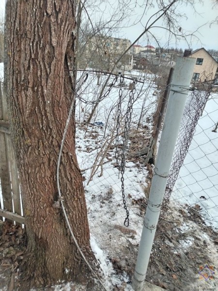 В Ляховичах спасатели освободили собаку, застрявшую в сетке В Ляховичах спасатели освободили собаку, застрявшую в сетке