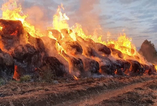 Пожар уничтожил 30 тонн сена в Столинском районе Пожар уничтожил 30 тонн сена в Столинском районе