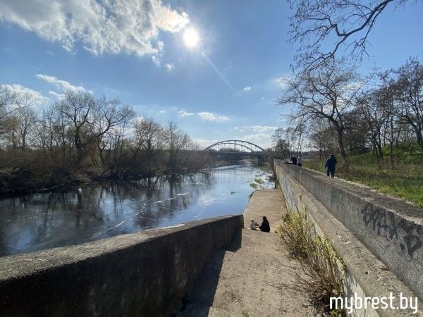 В Бресте продолжат реконструкцию набережной в районе речного порта