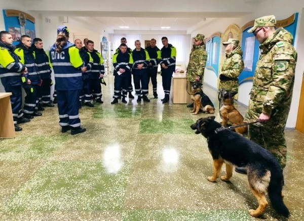 ГАИ будет проводить рейды с собаками и квадрокоптерами