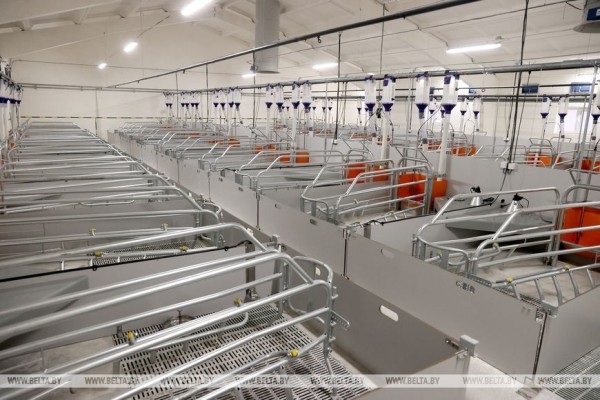 В Брестской области планируют построить или реконструировать 67 животноводческих комплексов