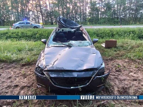 В Беларуси легковушка встретилась с лосем