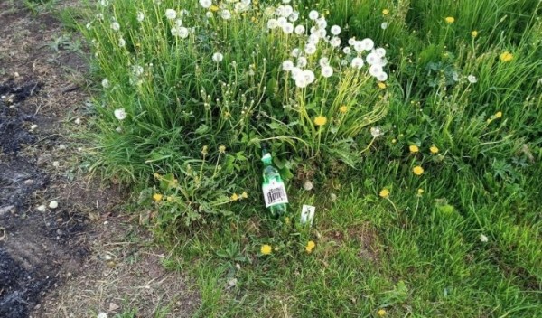 Версия о пале травы не подтвердилась. Следователи установили, что пенсионерку поджог сожитель