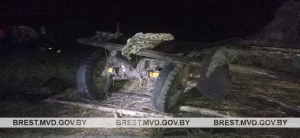 В Брестской области пьяный водитель врезался в гужевую повозку