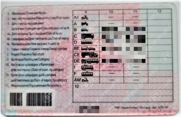 Белорус купил за границей водительские права за 150 евро – ездил три года, пока не попался