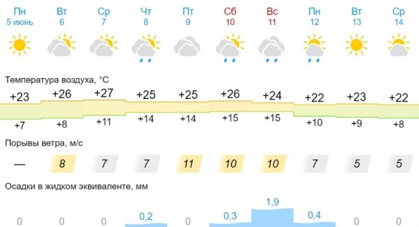 Какая погода ждет жителей Бреста в ближайшие дни