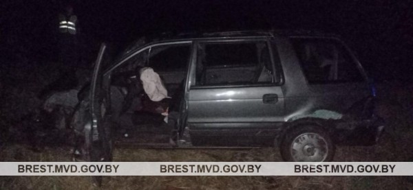 В Брестской области пьяный водитель врезался в гужевую повозку