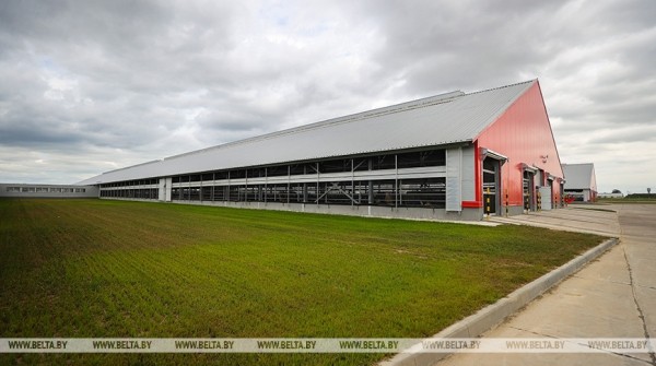 Высокотехнологичный молочно-товарный комплекс на 1 тыс. голов открыли в Пружанском районе Высокотехнологичный молочно-товарный комплекс на 1 тыс. голов открыли в Пружанском районе