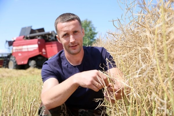 Посмотрели, как возле Бреста убирают озимый рапс