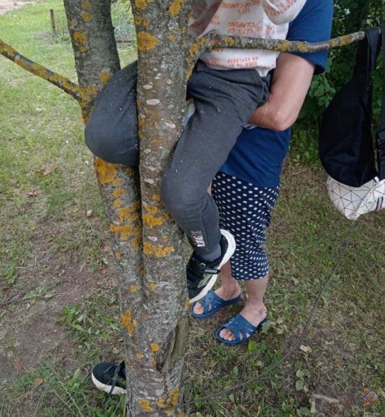 Нога мальчика застряла в дереве: помогли спасатели