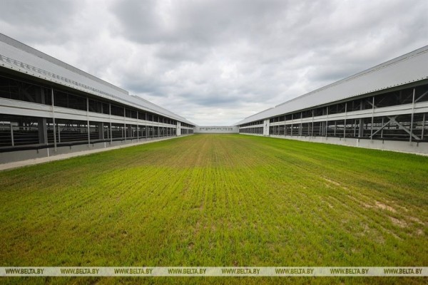 Высокотехнологичный молочно-товарный комплекс на 1 тыс. голов открыли в Пружанском районе Высокотехнологичный молочно-товарный комплекс на 1 тыс. голов открыли в Пружанском районе