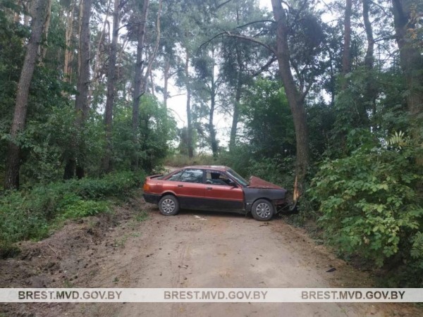 Пьяный житель Каменецкого района совершил ДТП