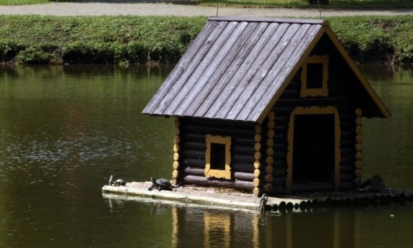 А вы видели в озере Брестского парка культуры и отдыха черепах? Оказывается, они там есть