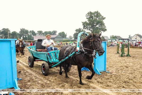 От конефермы к конному парку: в глубинке Полесья восстанавливают национальные породы лошадей От конефермы к конному парку: в глубинке Полесья восстанавливают национальные породы лошадей