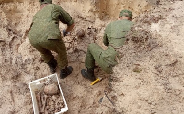 Останки 26 расстрелянных жителей в период ВОВ нашли во время раскопок в Брестской области