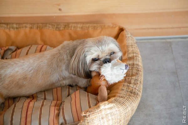 Минчане продали двушку — денег хватило на новый дом с отделкой. Смотрим, что у них получилось