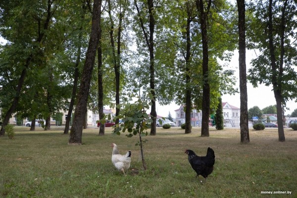 «Сосед-атомщик получил 7000 рублей». Чем живет Островец, который обогнал Минск по средней зарплате «Сосед-атомщик получил 7000 рублей». Чем живет Островец, который обогнал Минск по средней зарплате