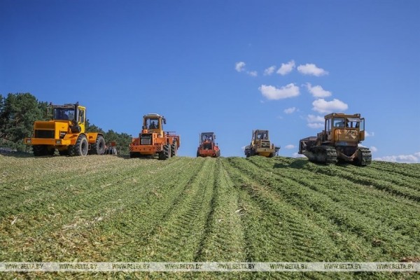 В Малоритском районе довольны урожаем кукурузы В Малоритском районе довольны урожаем кукурузы