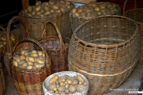 «Лисичек сдавали на 800 рублей, черники – на 1000, корзин продали на 3 тысячи». Как семья подрабатывает на дарах природы «Лисичек сдавали на 800 рублей, черники – на 1000, корзин продали на 3 тысячи». Как семья подрабатывает на дарах природы