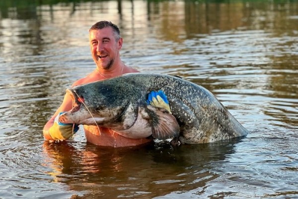 Белорус поймал на Припяти рекордного сома более 2 м в длину