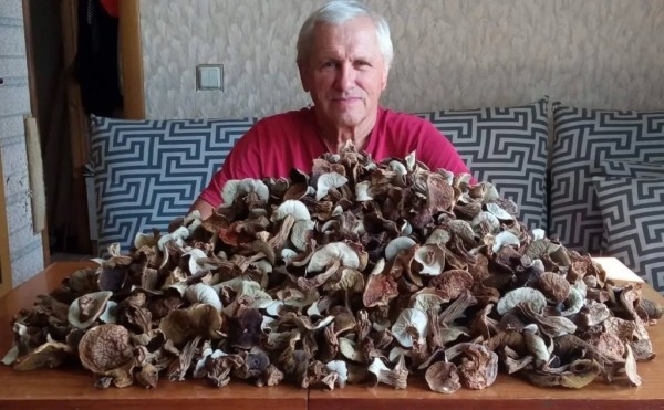 «Лисичек сдавали на 800 рублей, черники – на 1000, корзин продали на 3 тысячи». Как семья подрабатывает на дарах природы «Лисичек сдавали на 800 рублей, черники – на 1000, корзин продали на 3 тысячи». Как семья подрабатывает на дарах природы