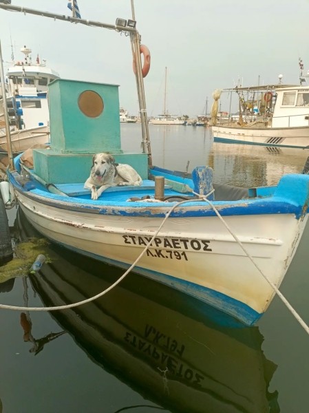 Штиль на Эгейском море. Рассказ брестчанина об отдыхе в Греции летом