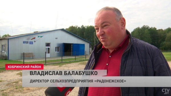 Верховая езда и основы конкура. Вот как проходит обучение конному спорту в Кобринском районе Верховая езда и основы конкура. Вот как проходит обучение конному спорту в Кобринском районе