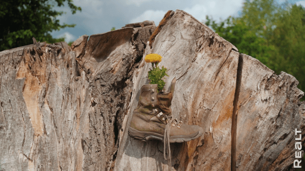 Вложили 30 тыс. долларов. История превращения 100-летнего дома в белорусской Швейцарии в родовое гнездо