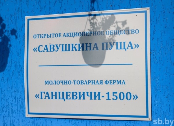 1350 голов дойного стада и 37 тонн молока в сутки - как работает самая крупная ферма в Каменецком районе 1350 голов дойного стада и 37 тонн молока в сутки - как работает самая крупная ферма в Каменецком районе