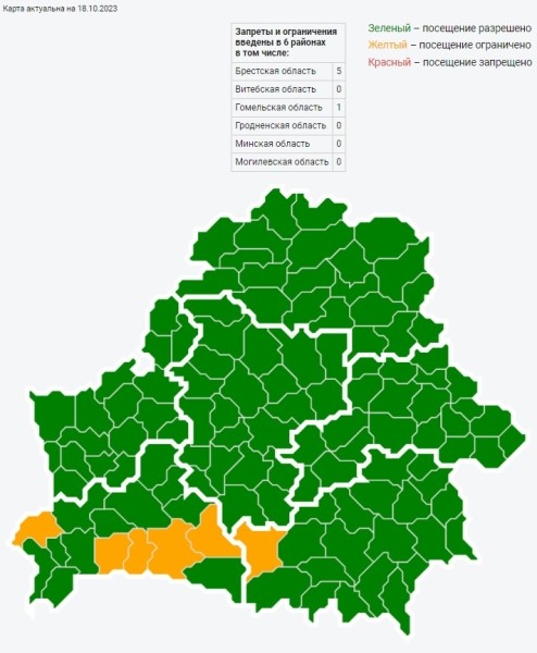 Ограничения на посещение лесов до сих пор действуют в ряде районов Беларуси