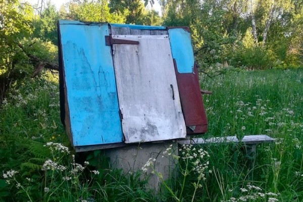 Ветхий дом стоил $500: как семья из Минска переехала в заброшенную деревню