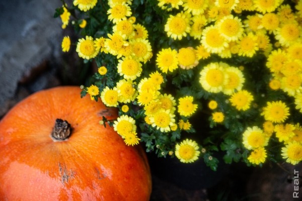 Девушка уехала из столицы в деревню в Березовском районе и нашла себе там дело — ремонтирует дом прадеда. И вот что у нее получилось