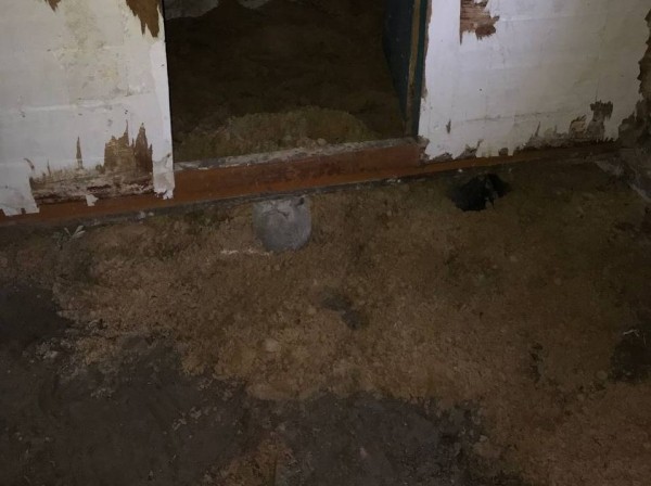 Девушка уехала из столицы в деревню в Березовском районе и нашла себе там дело — ремонтирует дом прадеда. И вот что у нее получилось