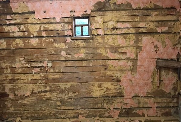 Девушка уехала из столицы в деревню в Березовском районе и нашла себе там дело — ремонтирует дом прадеда. И вот что у нее получилось