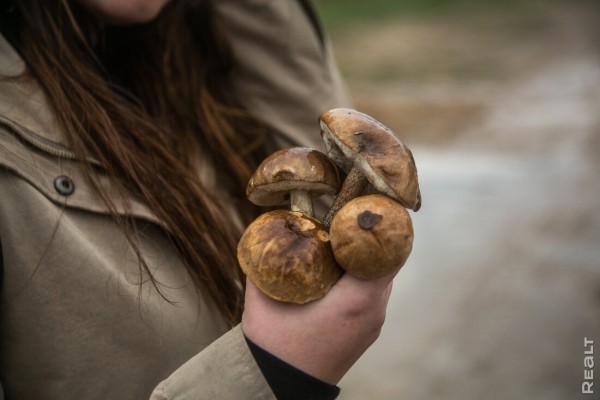 Девушка уехала из столицы в деревню в Березовском районе и нашла себе там дело — ремонтирует дом прадеда. И вот что у нее получилось