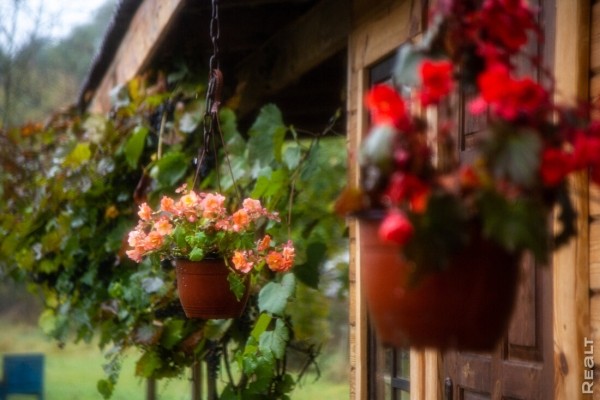 Девушка уехала из столицы в деревню в Березовском районе и нашла себе там дело — ремонтирует дом прадеда. И вот что у нее получилось