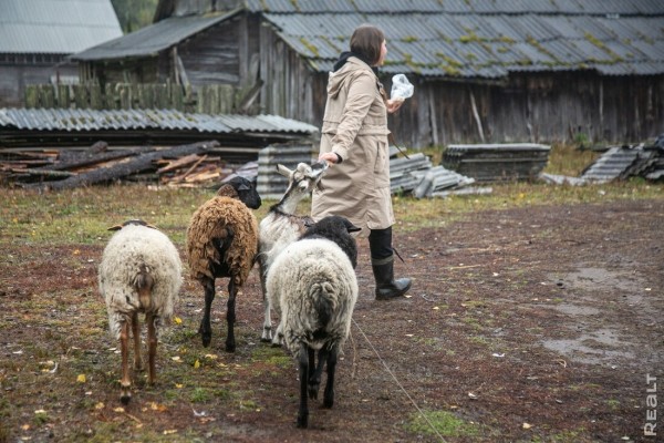 Девушка уехала из столицы в деревню в Березовском районе и нашла себе там дело — ремонтирует дом прадеда. И вот что у нее получилось