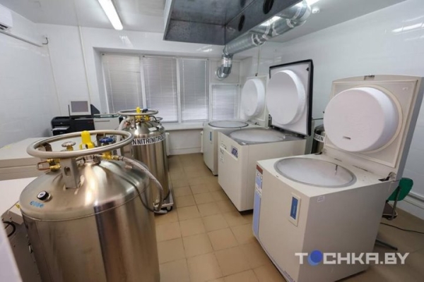 Зачем белорусы замораживают стволовые клетки своих детей Зачем белорусы замораживают стволовые клетки своих детей