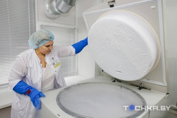 Зачем белорусы замораживают стволовые клетки своих детей Зачем белорусы замораживают стволовые клетки своих детей