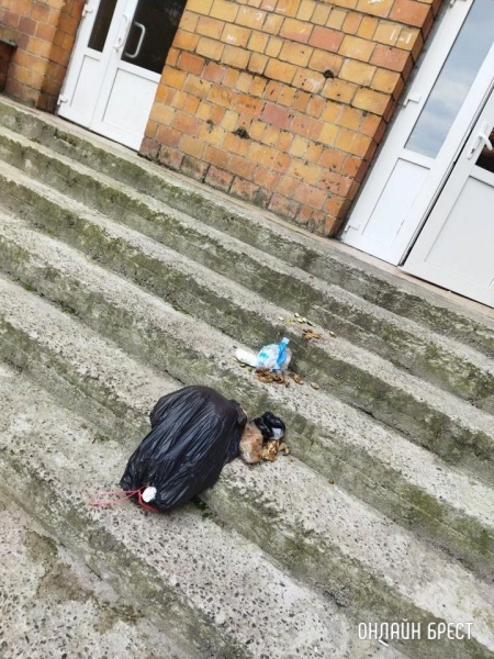 Читатель: Жильцы общежития выбрасывают мусор из окон. Брест, ул.Суворова, 108
Читатель: Жильцы общежития выбрасывают мусор из окон. Брест, ул.Суворова, 108