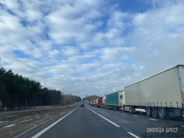 Более 810 фур стоят в очереди на границе Беларуси с ЕС Более 810 фур стоят в очереди на границе Беларуси с ЕС