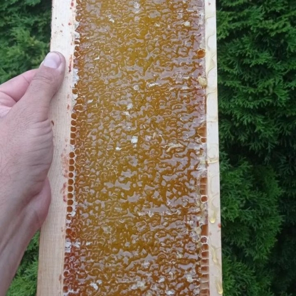 Увлечение родом из детства: как пчеловод из Кобрина продолжает дело родителей Увлечение родом из детства: как пчеловод из Кобрина продолжает дело родителей